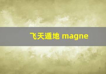 飞天遁地 magne